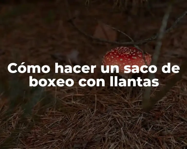 Cómo hacer un saco de boxeo con llantas