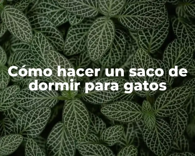 Cómo hacer un saco de dormir para gatos