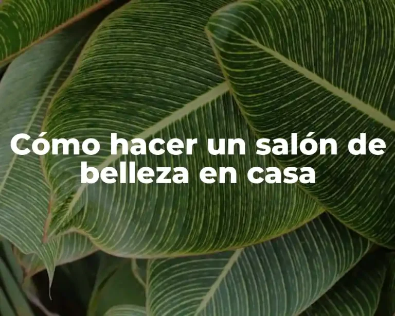 Cómo hacer un salón de belleza en casa