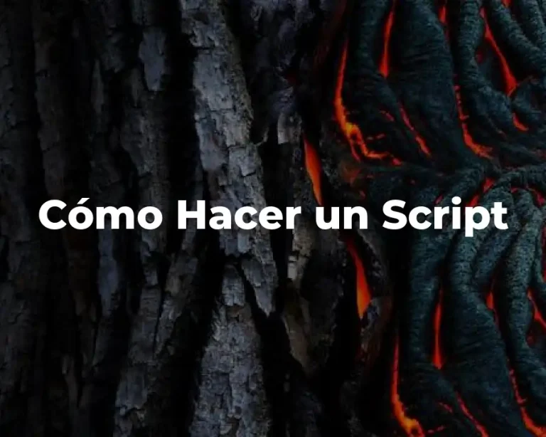 Cómo Hacer un Script