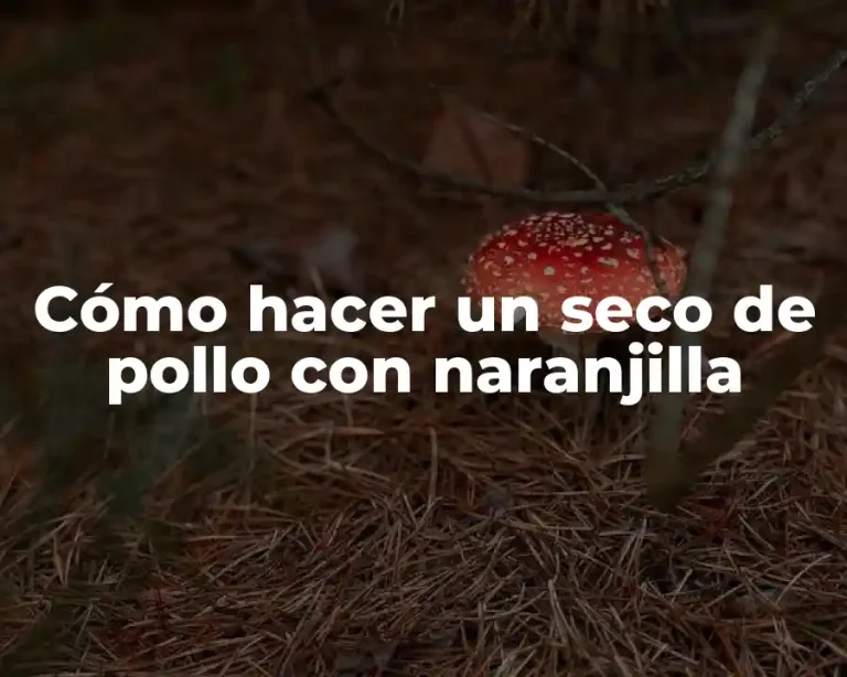 Cómo hacer un seco de pollo con naranjilla