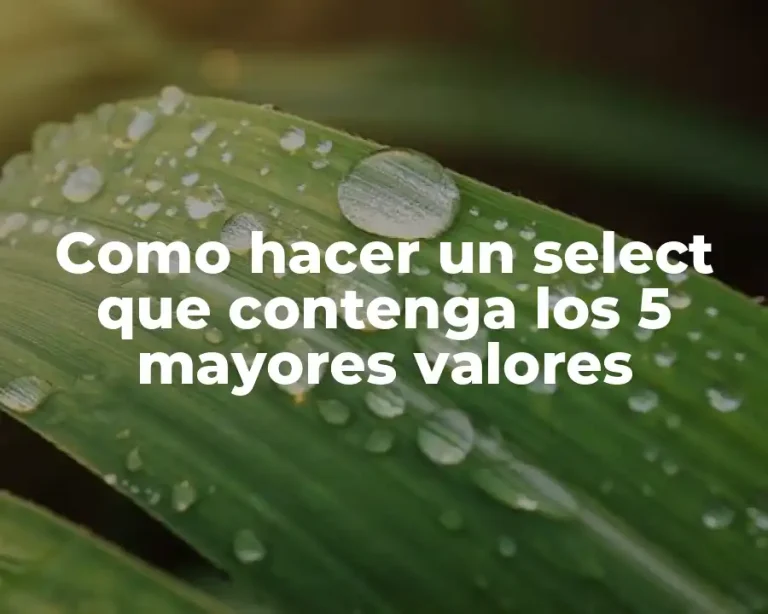 Como hacer un select que contenga los 5 mayores valores