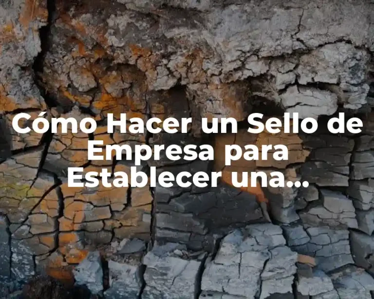 Cómo Hacer un Sello de Empresa para Establecer una Identidad Corporativa
