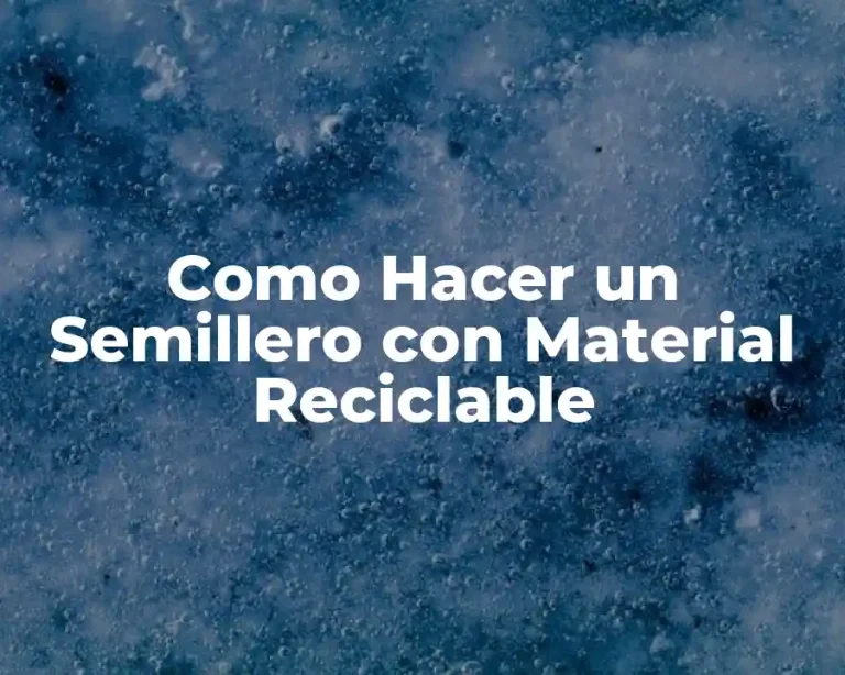 Como Hacer un Semillero con Material Reciclable