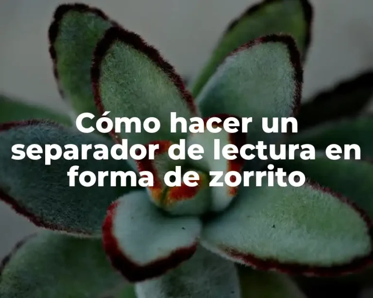 Cómo hacer un separador de lectura en forma de zorrito