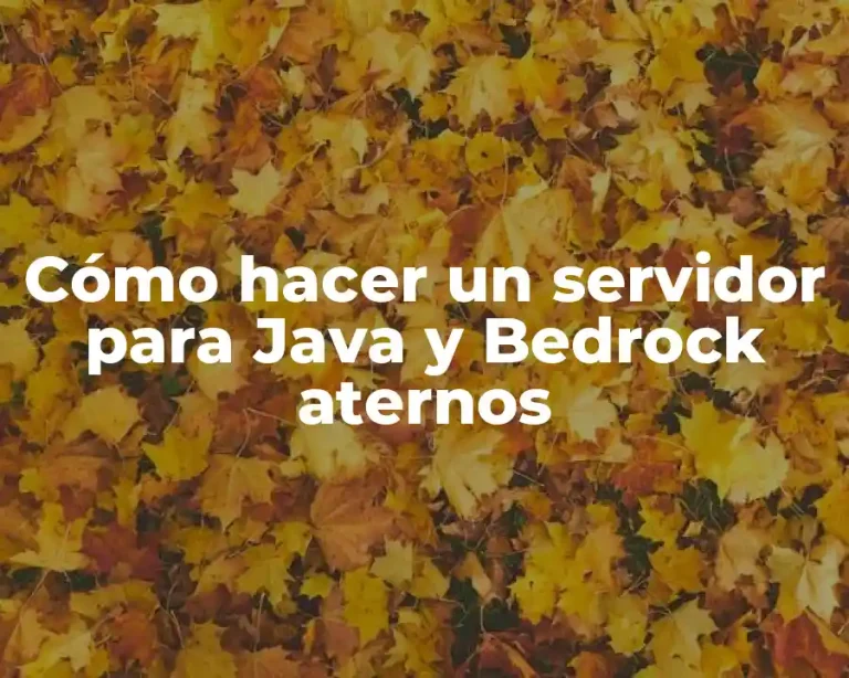 Cómo hacer un servidor para Java y Bedrock aternos