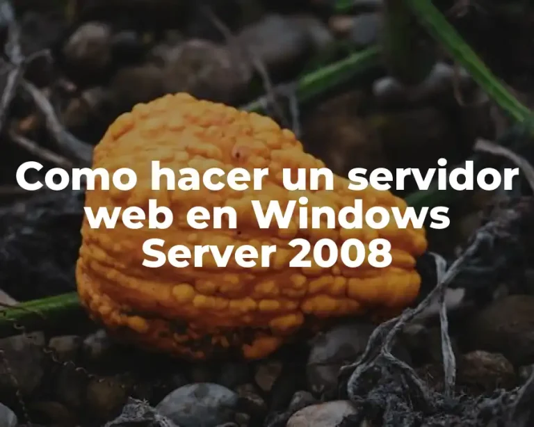 Como hacer un servidor web en Windows Server 2008
