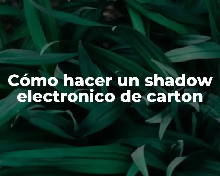 Cómo hacer un shadow electronico de carton