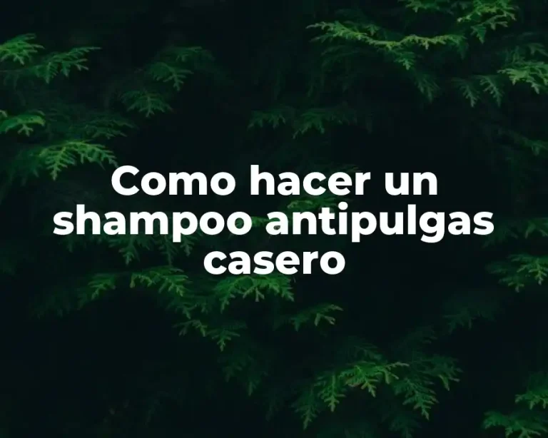 Como hacer un shampoo antipulgas casero