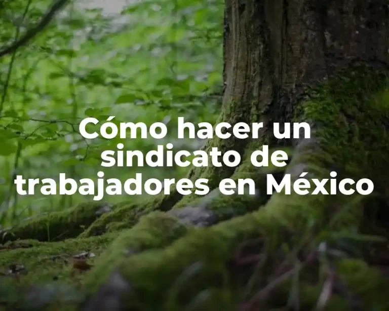 Cómo hacer un sindicato de trabajadores en México