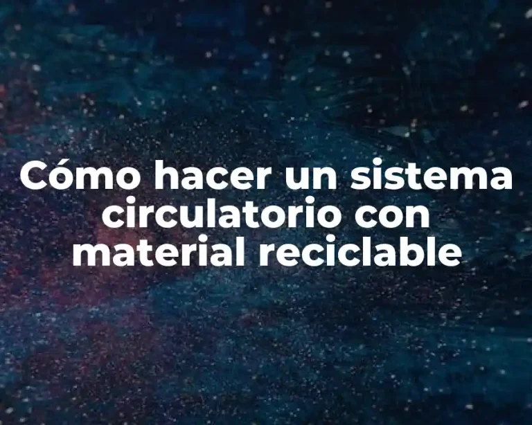 Cómo hacer un sistema circulatorio con material reciclable