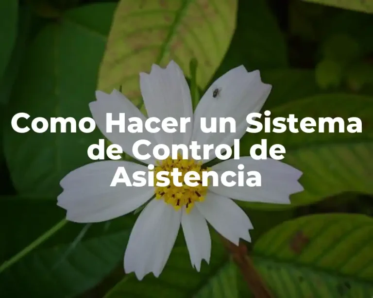 Como Hacer un Sistema de Control de Asistencia