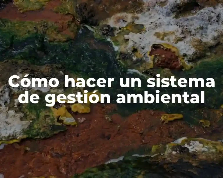 Cómo hacer un sistema de gestión ambiental