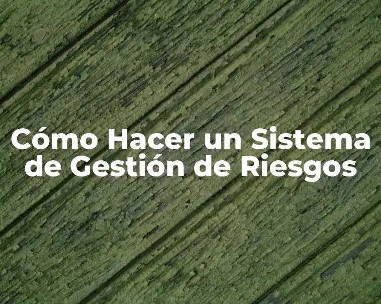 Cómo Hacer un Sistema de Gestión de Riesgos