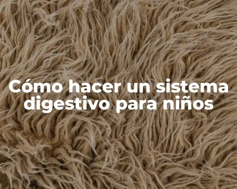 Cómo hacer un sistema digestivo para niños