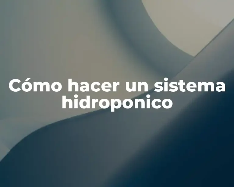 Cómo hacer un sistema hidroponico