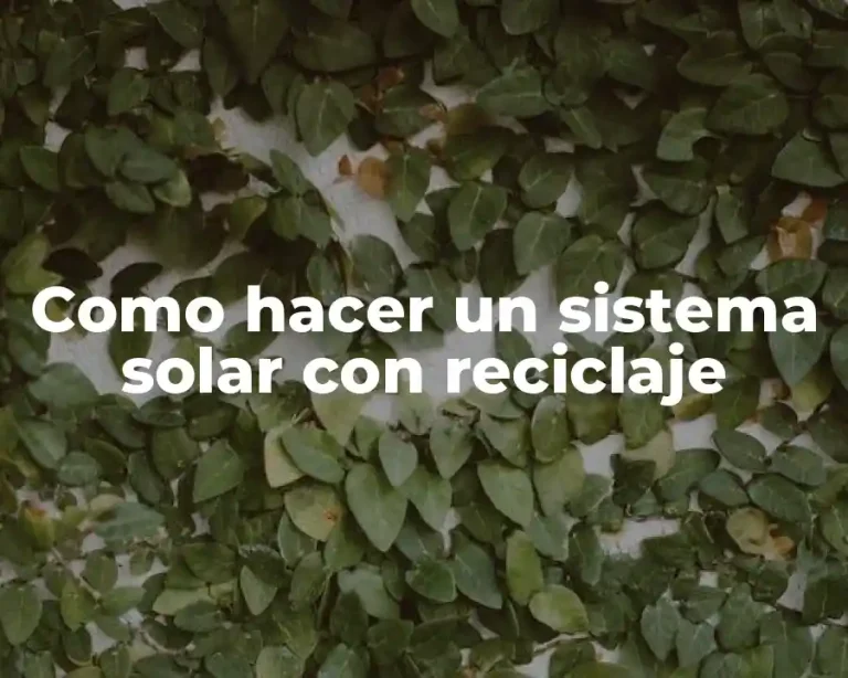 Como hacer un sistema solar con reciclaje