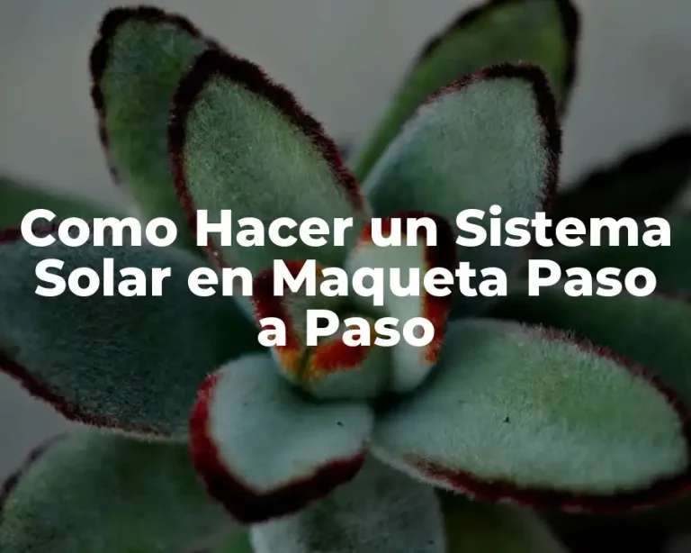 Como Hacer un Sistema Solar en Maqueta Paso a Paso