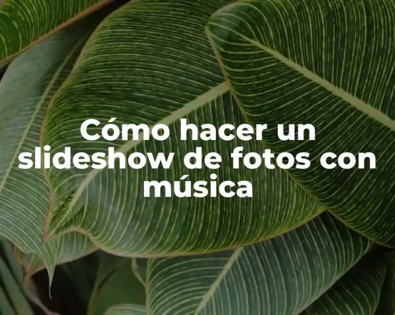 Cómo hacer un slideshow de fotos con música
