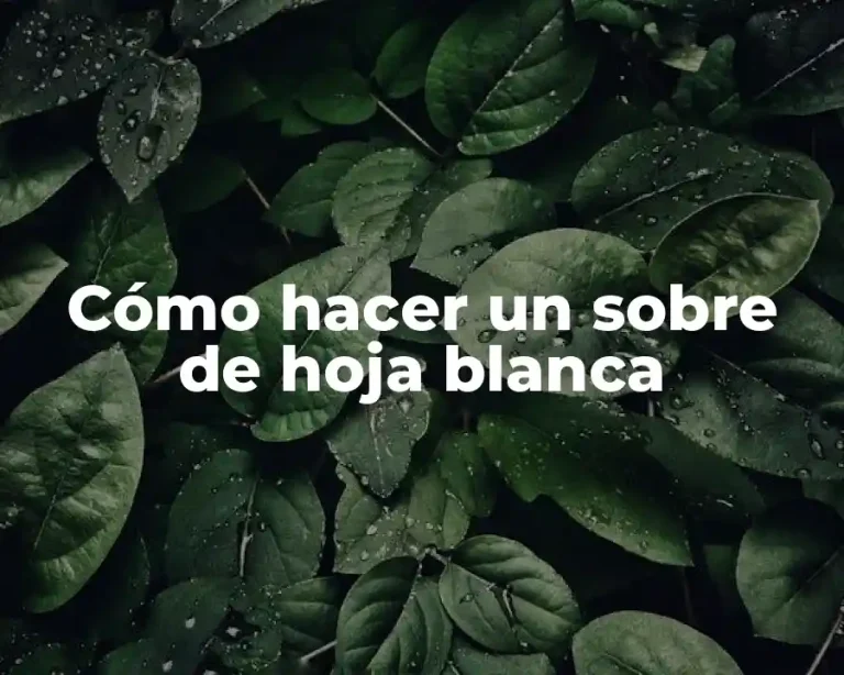 Cómo hacer un sobre de hoja blanca