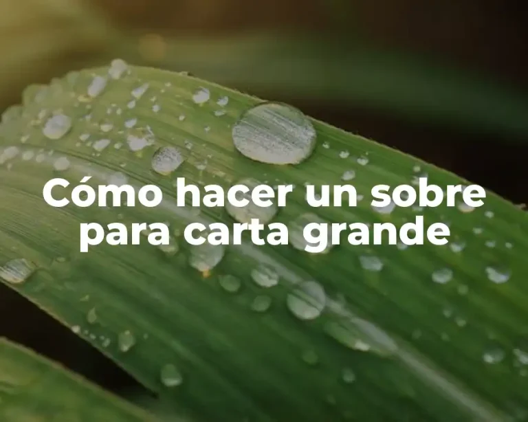 Cómo hacer un sobre para carta grande