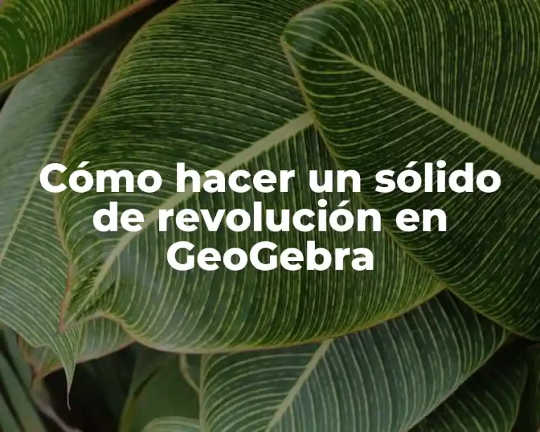 Cómo hacer un sólido de revolución en GeoGebra