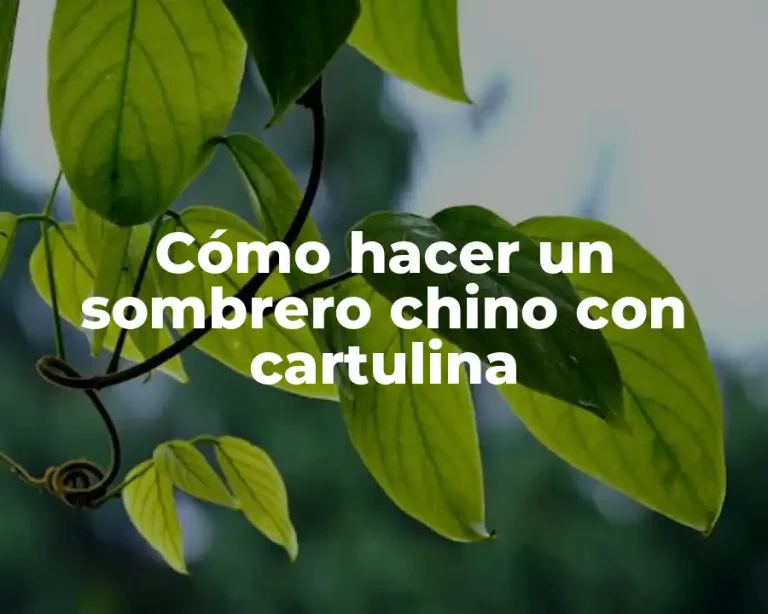 Cómo hacer un sombrero chino con cartulina