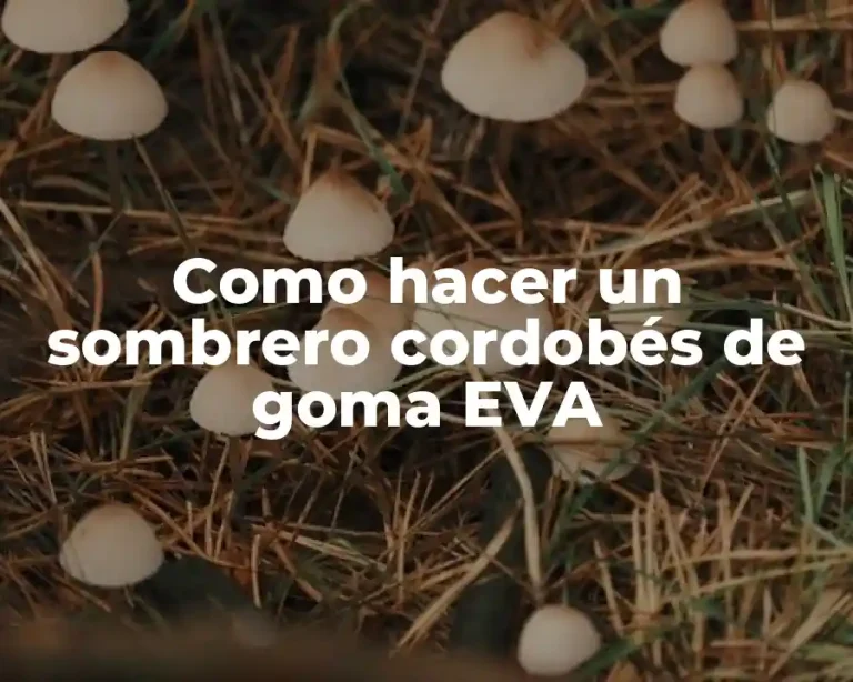 Como hacer un sombrero cordobés de goma EVA