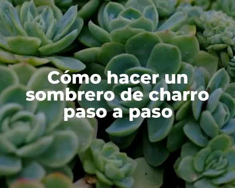 Cómo hacer un sombrero de charro paso a paso