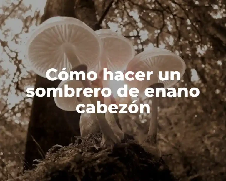 Cómo hacer un sombrero de enano cabezón