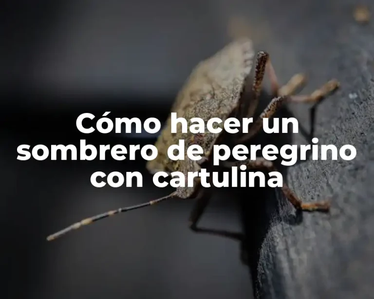 Cómo hacer un sombrero de peregrino con cartulina