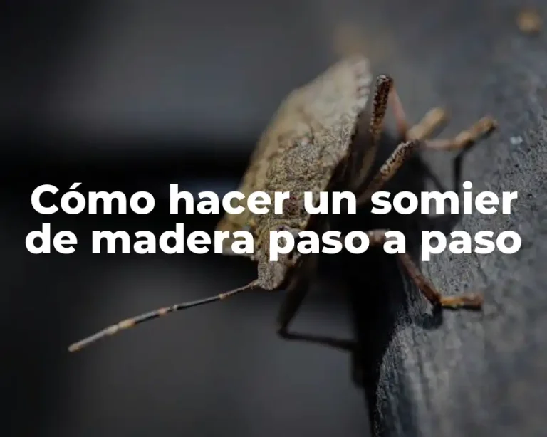 Cómo hacer un somier de madera paso a paso