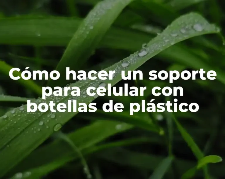 Cómo hacer un soporte para celular con botellas de plástico