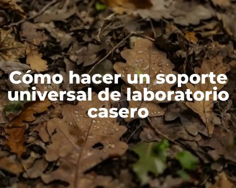 Cómo hacer un soporte universal de laboratorio casero