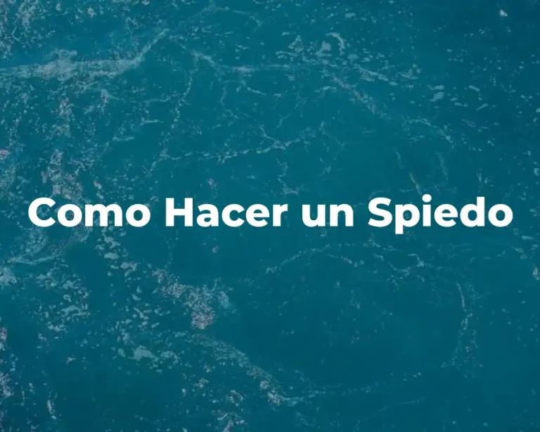 Como Hacer un Spiedo