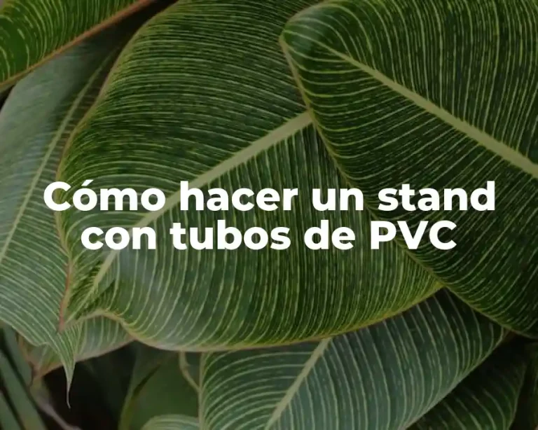 Cómo hacer un stand con tubos de PVC