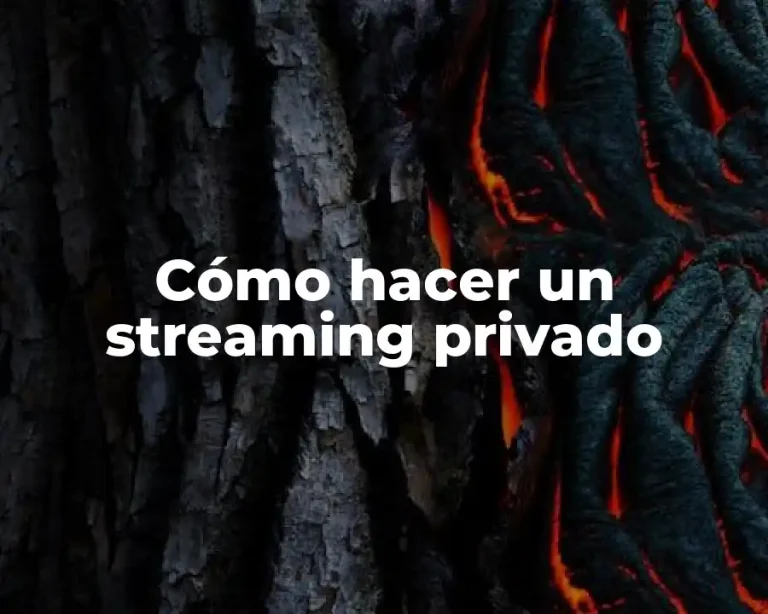 Cómo hacer un streaming privado