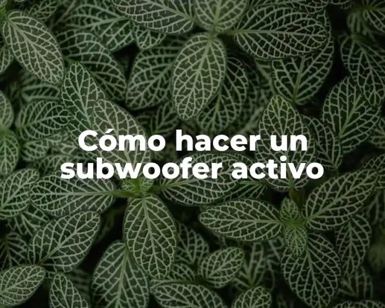 Cómo hacer un subwoofer activo