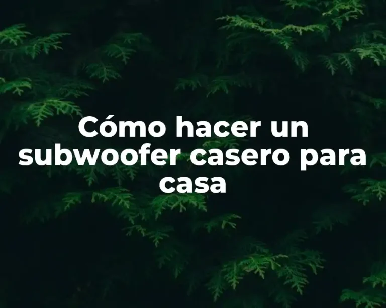 Cómo hacer un subwoofer casero para casa