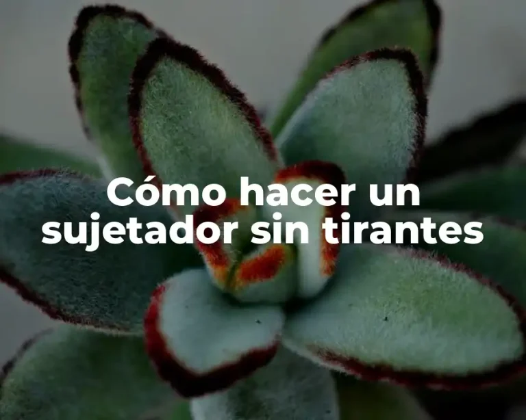 Cómo hacer un sujetador sin tirantes