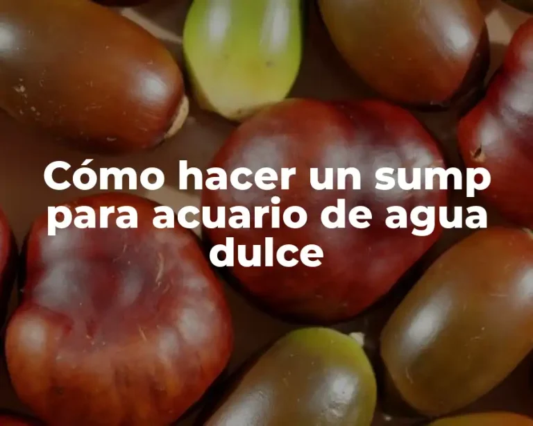 Cómo hacer un sump para acuario de agua dulce