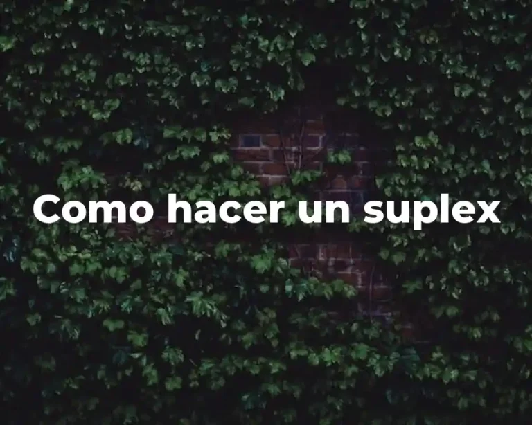 Como hacer un suplex