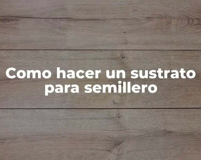 Como hacer un sustrato para semillero