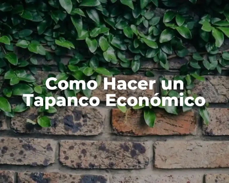 Como Hacer un Tapanco Económico