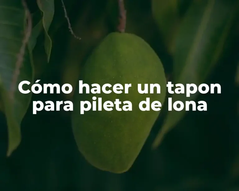 Cómo hacer un tapon para pileta de lona