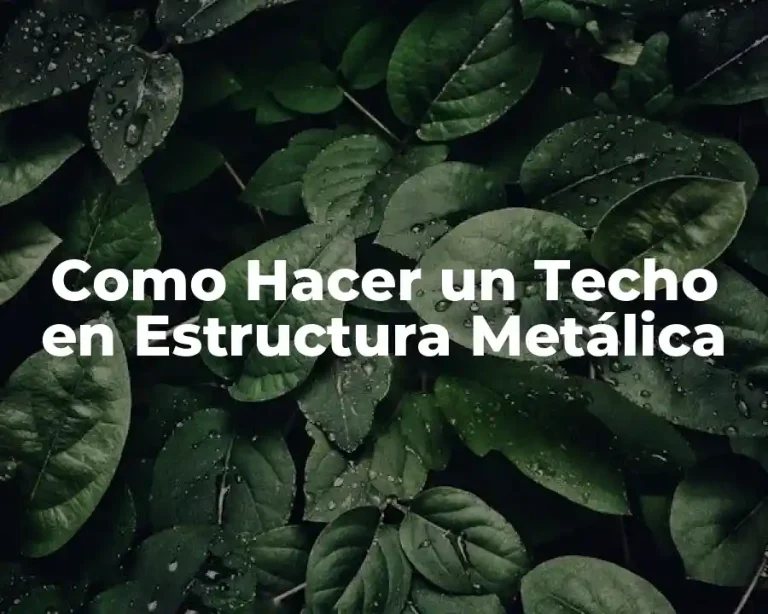 Como Hacer un Techo en Estructura Metálica