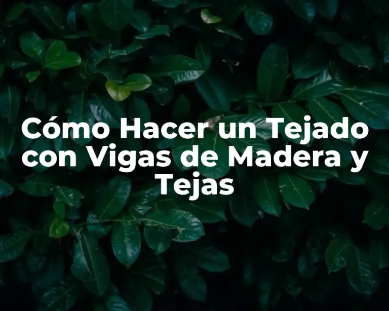 Cómo Hacer un Tejado con Vigas de Madera y Tejas
