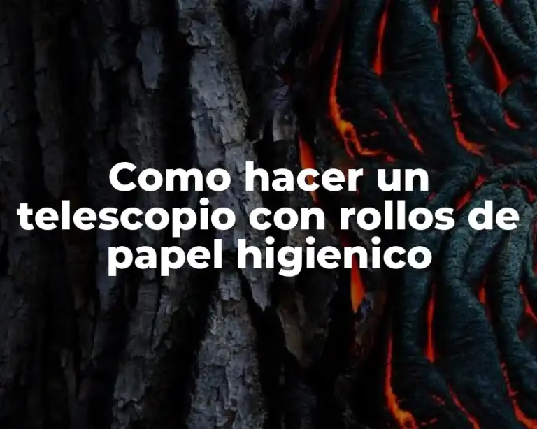 Como hacer un telescopio con rollos de papel higienico