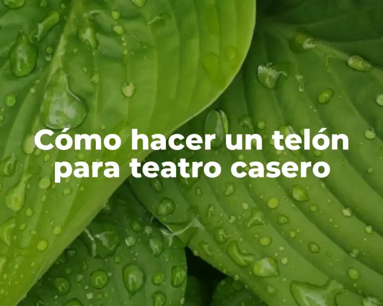 Cómo hacer un telón para teatro casero