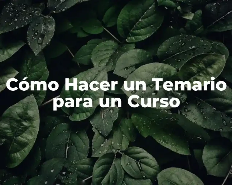 Cómo Hacer un Temario para un Curso